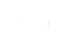 NFI logo